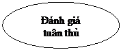 Oval:       Đánh giá 
       tuân thủ 
